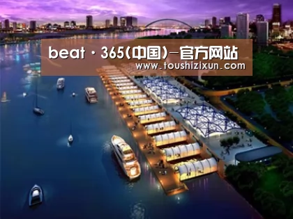 案例展示八