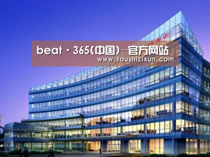案例展示五